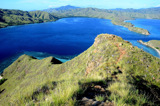 Pulau Komodo