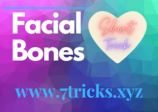 Facial bones Short Trick | 7tricks