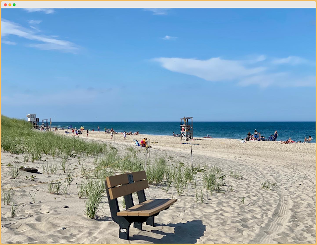 wooden bench placed in sand of nauset beach