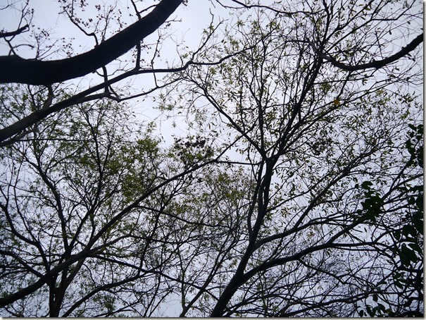 P1070448