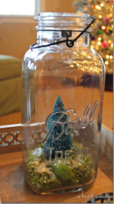 Ball Jar Terrarium