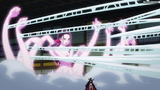 ワンピースアニメ 1043話 ロビン 巨人咲き ヒガンテフルール | ONE PIECE Episode 1043