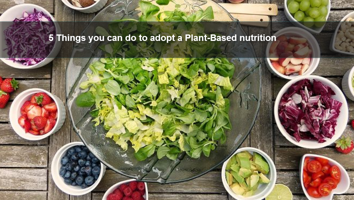 5 things you can do to adopt a plant-based nutrition