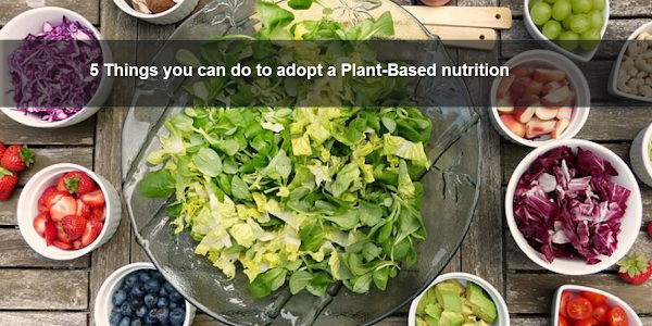  5 things you can do to adopt a plant-based nutrition