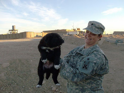 Soldiers with Pets Seen On www.coolpicturegallery.us