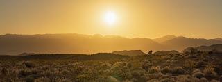 Desert sunrise - Photo by Sonder Quest on Unsplash