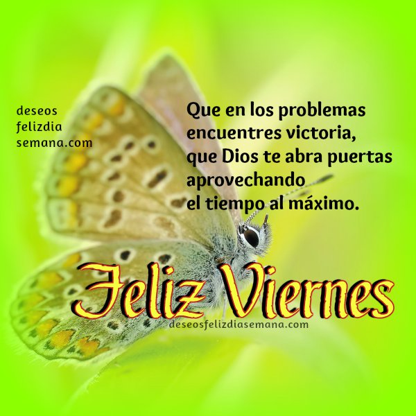 pensamientos de viernes pensamientos de viernes