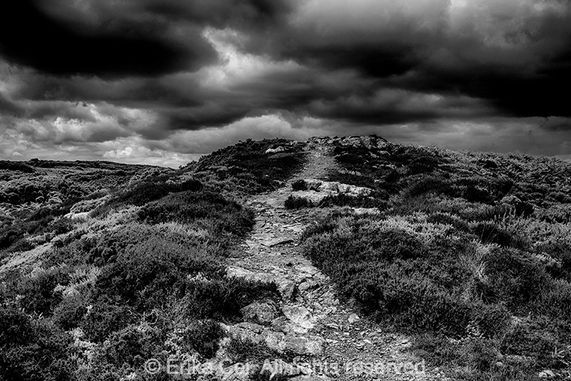 Howth Dublin Ireland