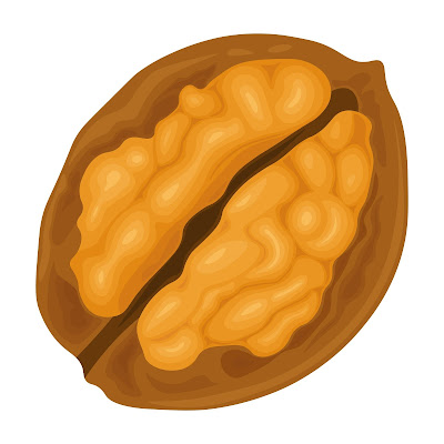 100+ Free Cartoon Images of Walnut dry fruit