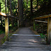 Fabelweg Lochbachklamm / Ökologischer Wanderpfad / Naturpark Knüll