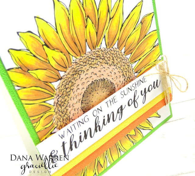 Dana Warren - Kraft Paper Stamps - Graciellie Designs - Spectrum Noir Tri-Blend Markers