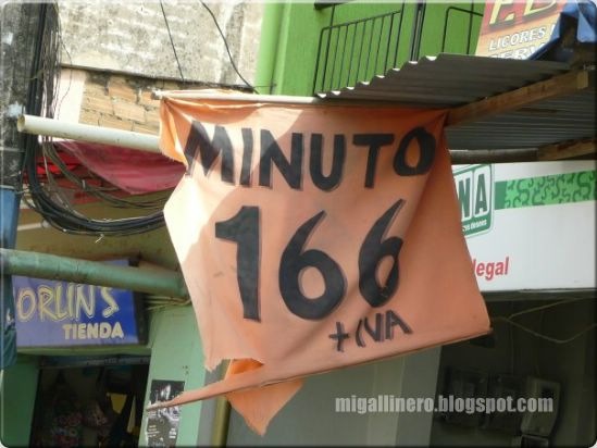 gallinero - 10
