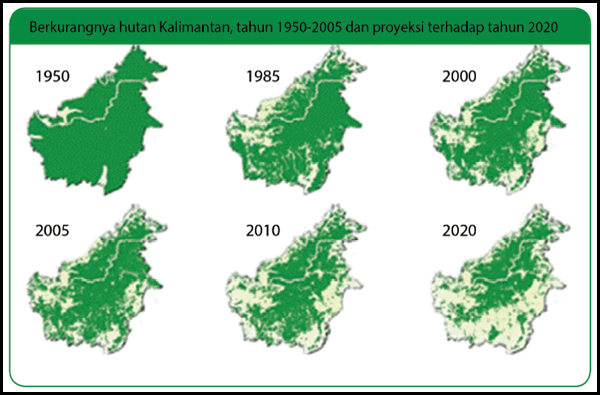 Hutan Kalimantan