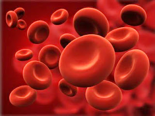 PARAS HEMOGLOBIN