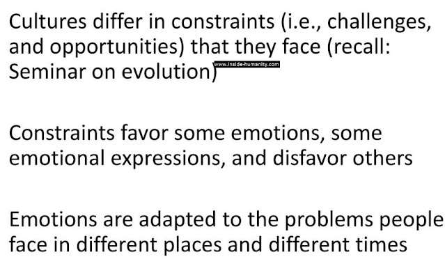 An Overview of 10 Basic Human Emotions