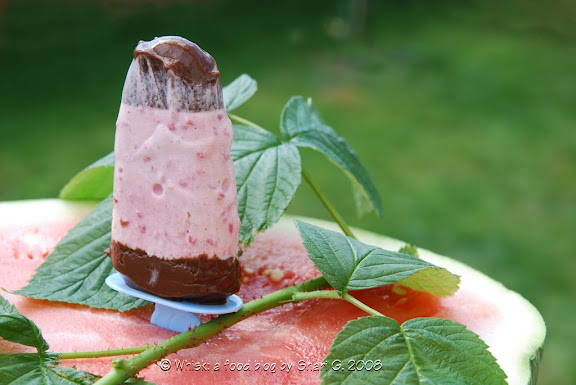 Chocolate-Banded Ice Cream Torte