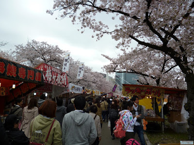 造幣局桜の通り抜け