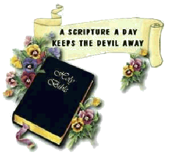 HolyBible