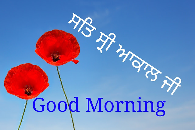 Sat Shri Akal Ji  Good Morning