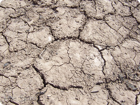 Ground