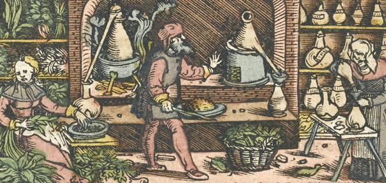 History of Herbs