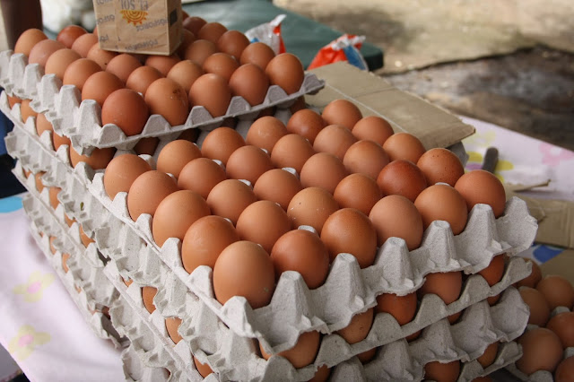 Cuatro millardos de huevos salieron del mercado desde llegada de Maduro