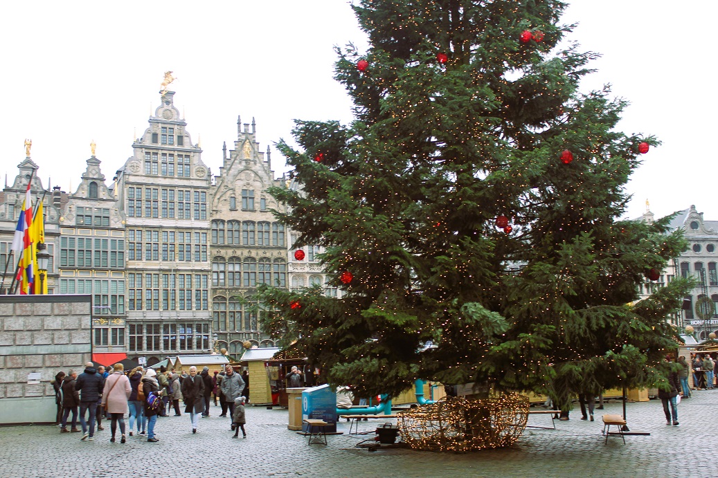 vánoční strom na náměstí v Antverpách