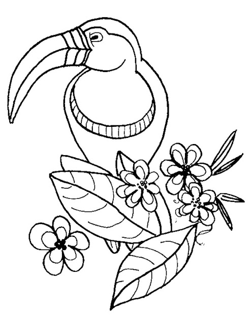 Printable Preschool Coloring Pages Zoo Animals