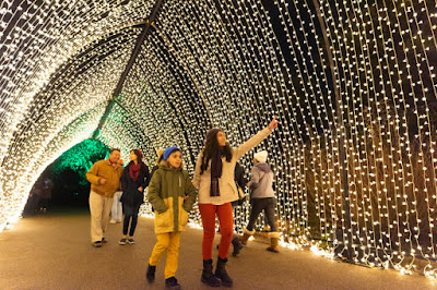 Chicago Botanic Garden Lightscape