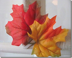 Autumn leaves