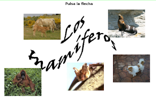 http://www.ceiploreto.es/sugerencias/cplosangeles.juntaextremadura.net/web/curso_3/naturales_3/mamiferos/mamiferos.html