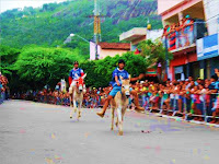 Corrida de Jericos - Festival Nacional de Jericos 2016