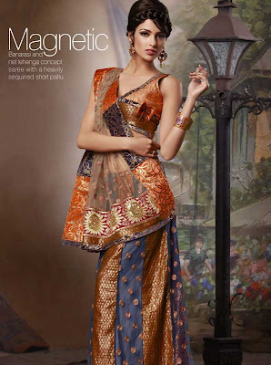 Fashion Sarees 2010 Photos