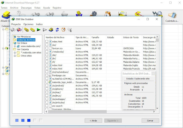 Internet Download Manager