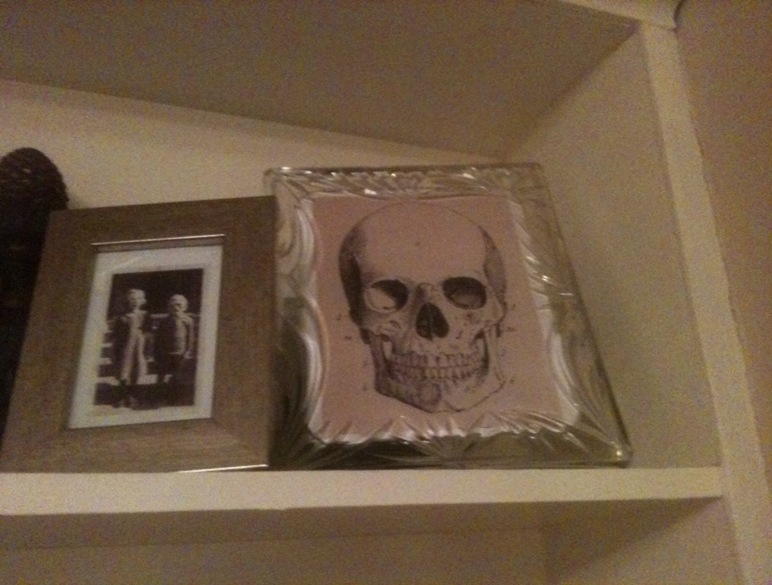 Abby_Skull