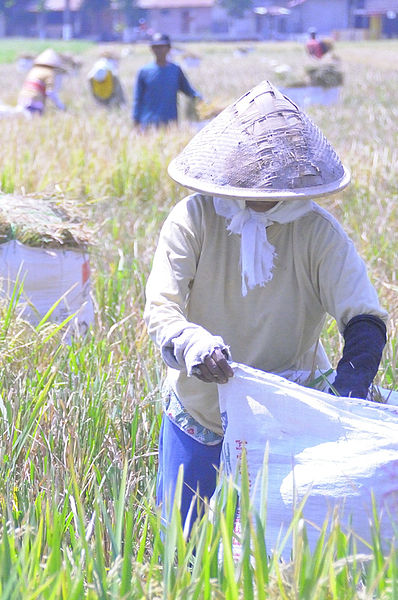 Pengertian Biaya Peluang, Biaya Kesempatan, Oportunitas 