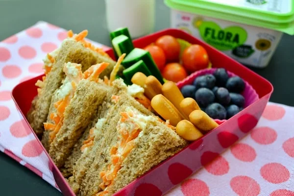 TUESDAY MEAL PLAN - vegan kids lunch box