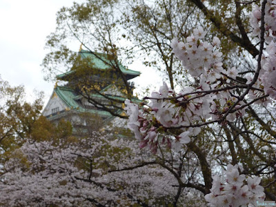 大阪城と桜