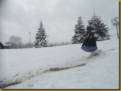 Sledding  Feb 2012 032