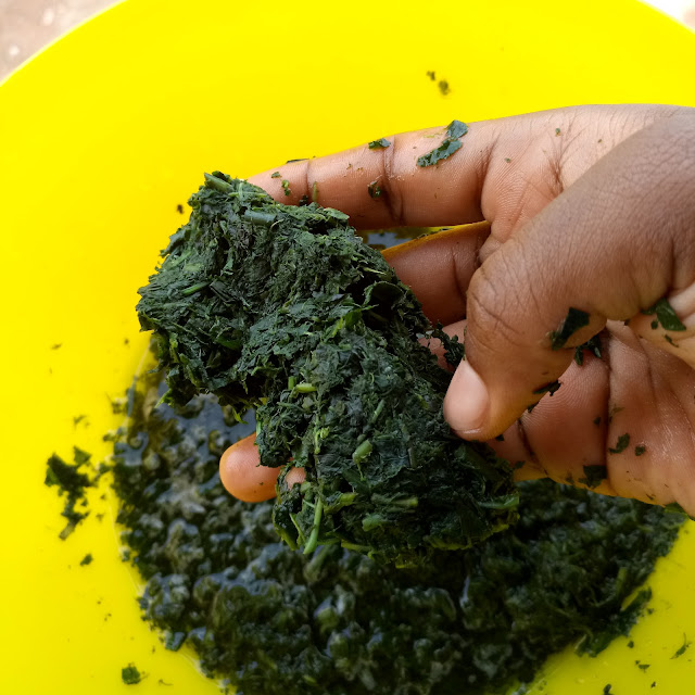 'Turning Coco' (Cameroonian Cocoyam Porridge)