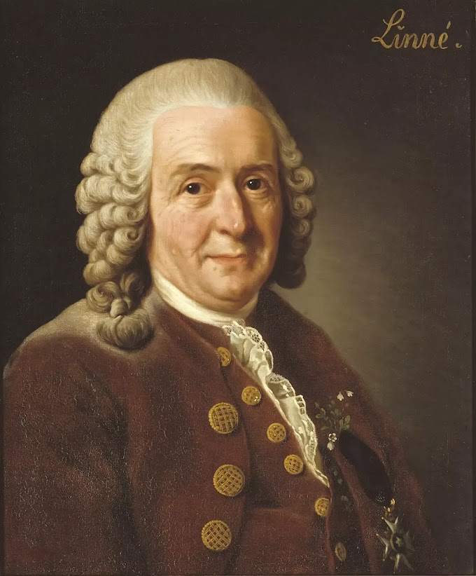 Who is Carl Linnaeus -The Father of Taxonomy (1707-1778) Biography