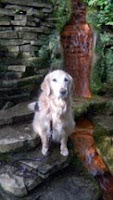 Golden guide Tessa at Chalice Well