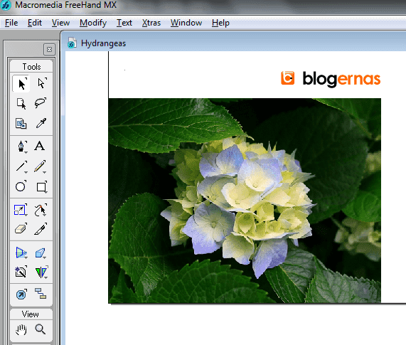 Cara Edit Ukuran Foto di Macromedia Freehand