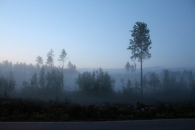 Finnish Midsummer, Midnight sun Finland, misty landscape