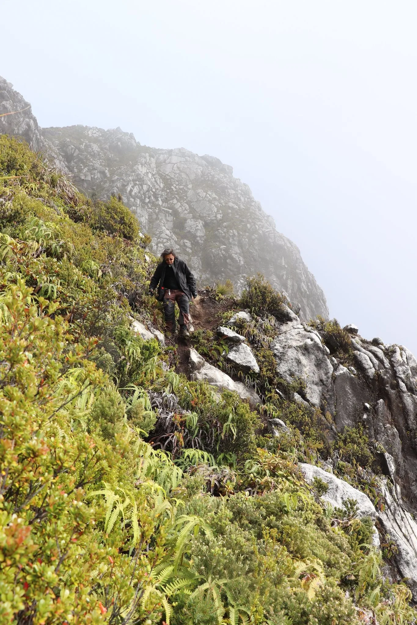 Trekkers Hikers Climbing Mt. Apo