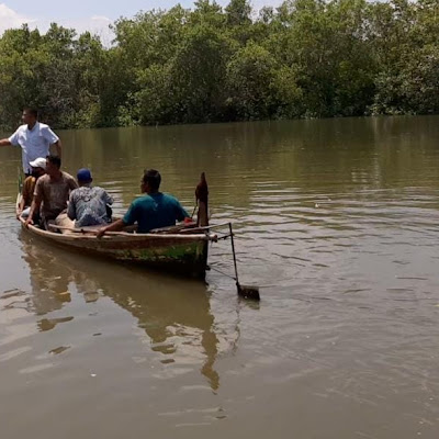 HNSI Medan Tabur 300 Kg Bibit Kerang