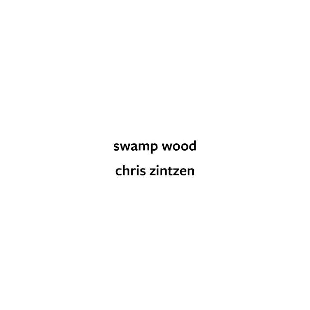swamp wood © Chris Zintzen | panAm productions