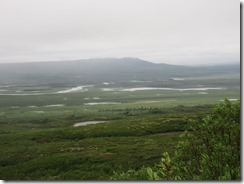 IMG_9885