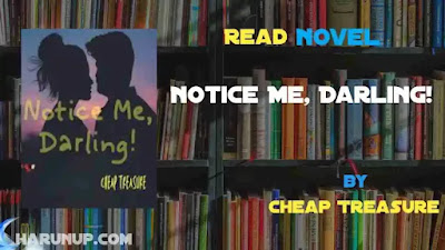Notice Me Darling Novel