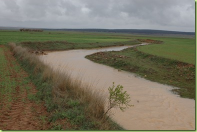 DSC_1931